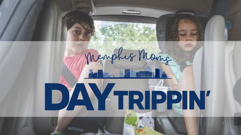 day trippin' cover photo