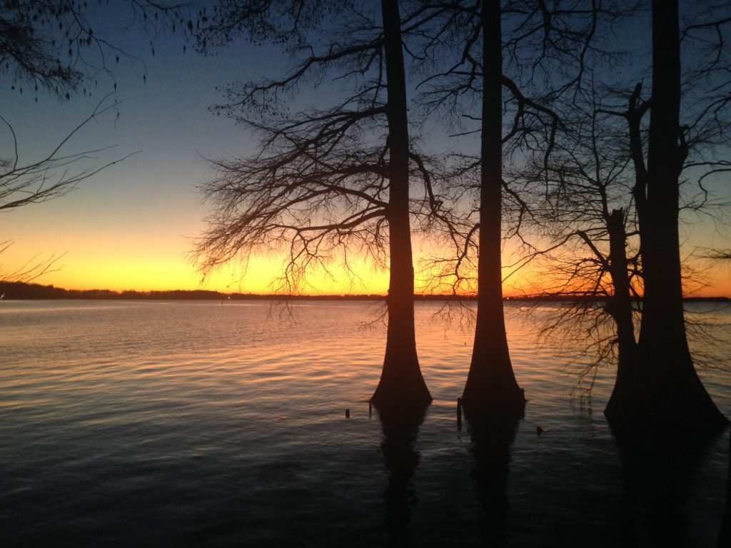 Reelfoot Lake