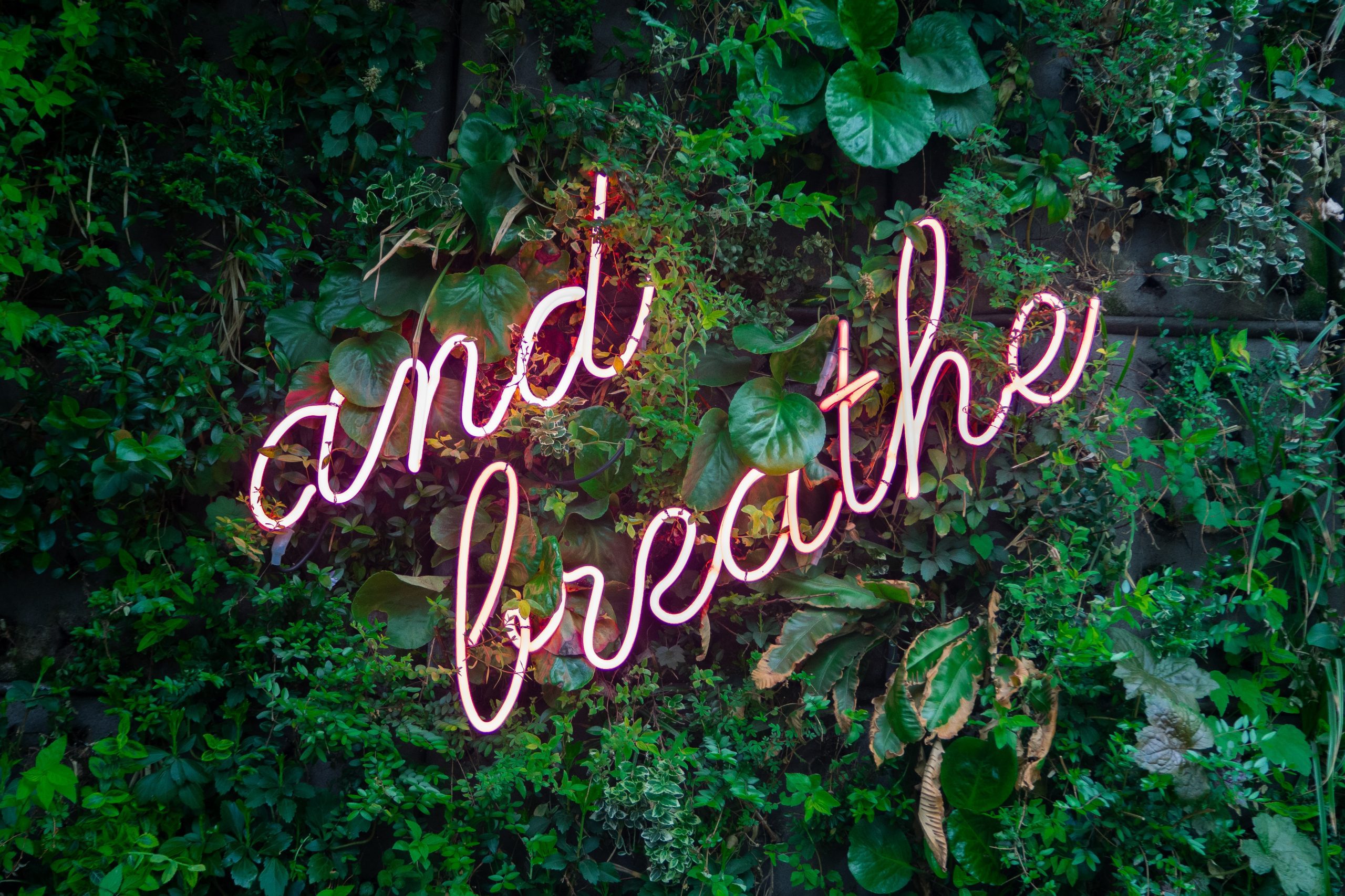 Neon sign reading "and breathe" on a plant background, helps manage stress