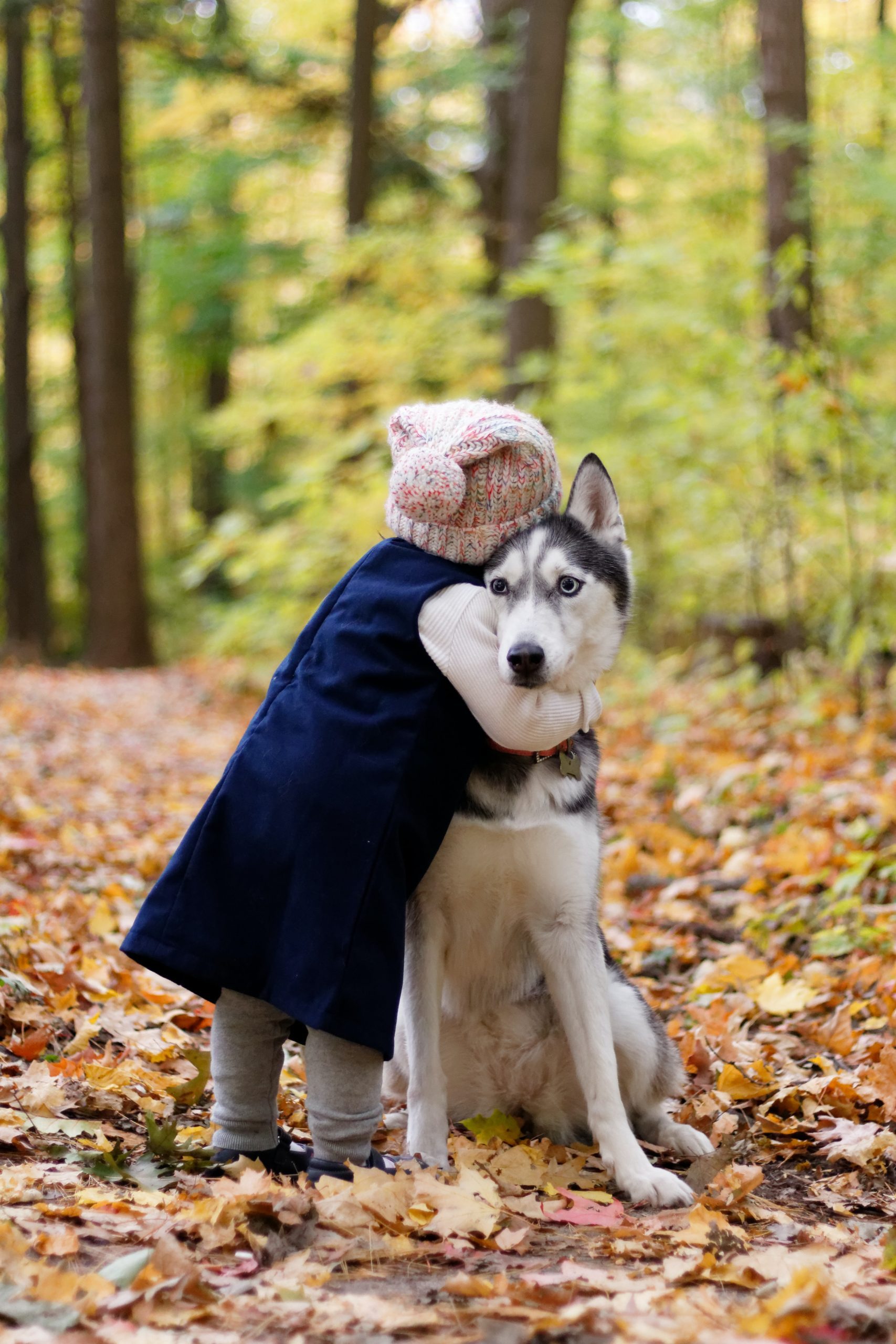 Picture of toddler hugging a Husky
