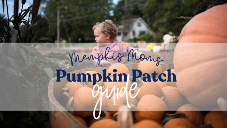pumpkin patch cover photo