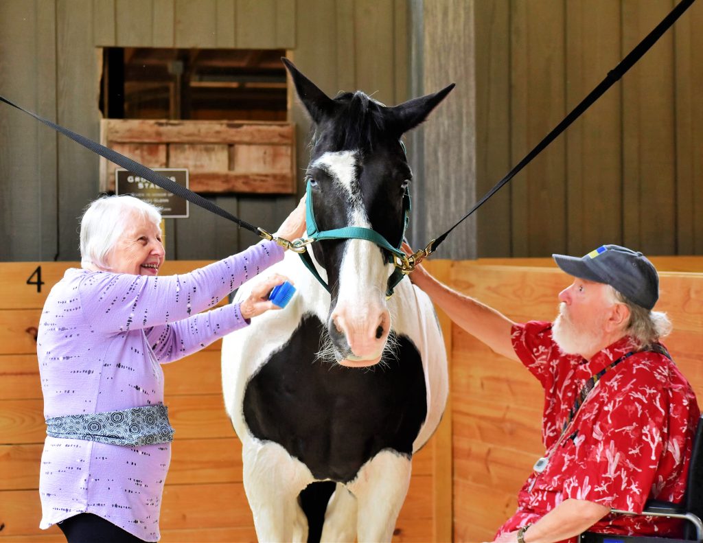 older couple brushing a horse at Southern Reins