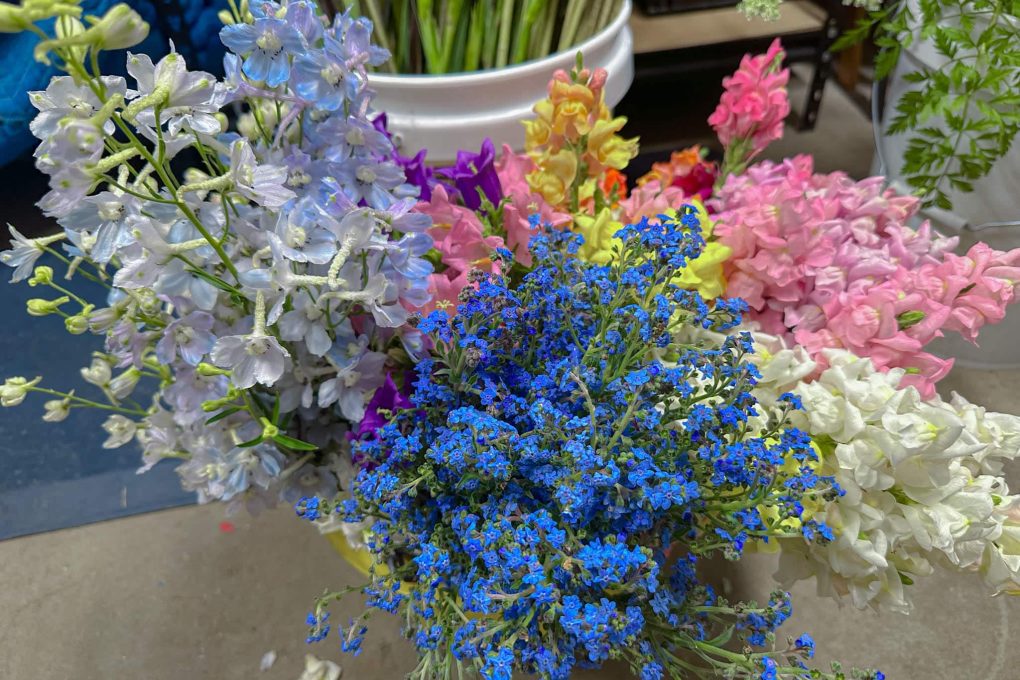 Farmer's market flowers