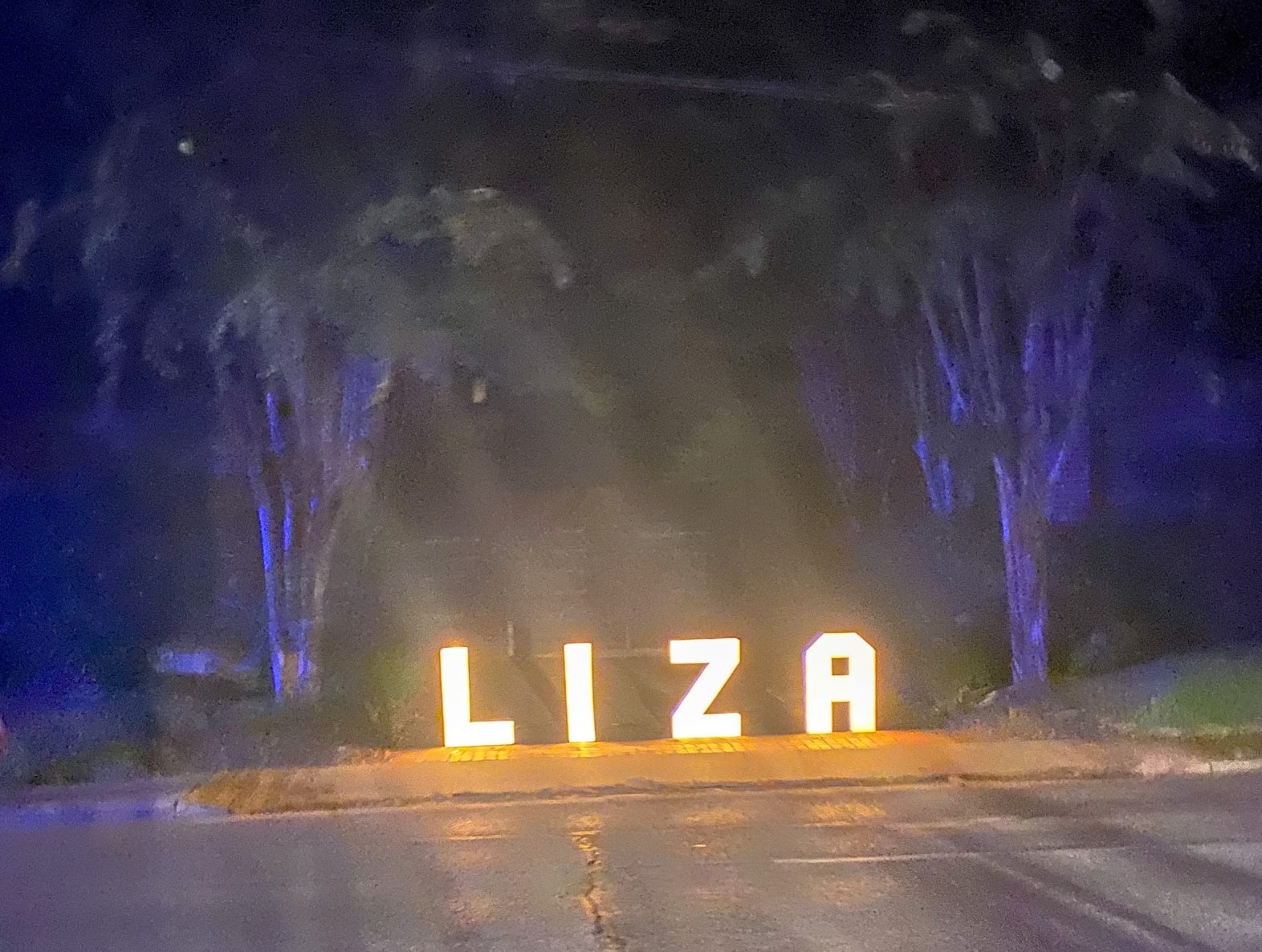 Liza's run last year