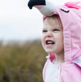 Toddler in flamingo costume