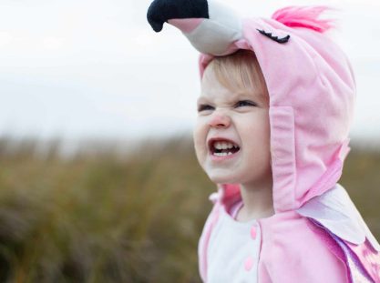 Toddler in flamingo costume