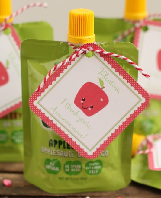 applesauce pouch idea