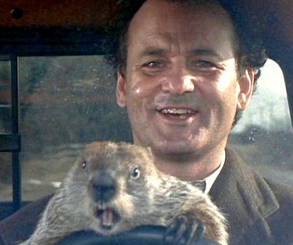 Groundhog Day : The Best Day of the Year
