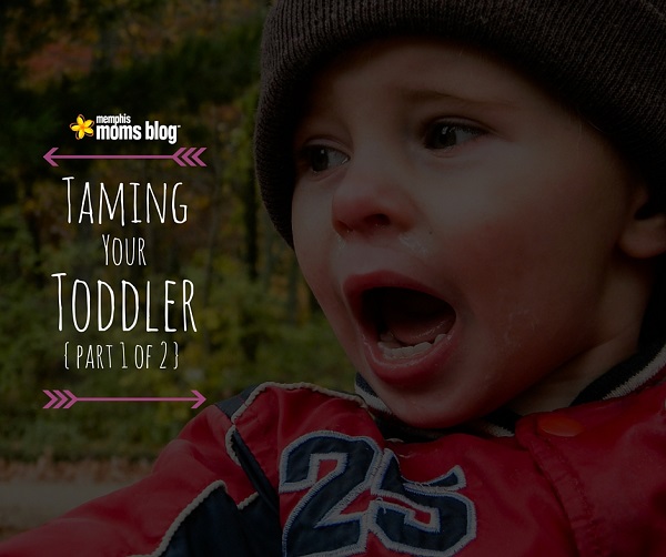 Taming Your Toddler {Part 1}