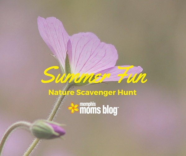 Summer Fun :: Nature Walk Scavenger Hunt