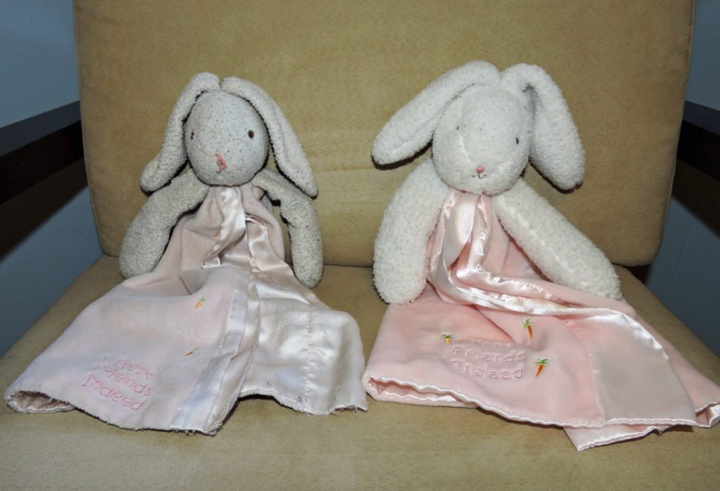 Can you spot the real Bunny?