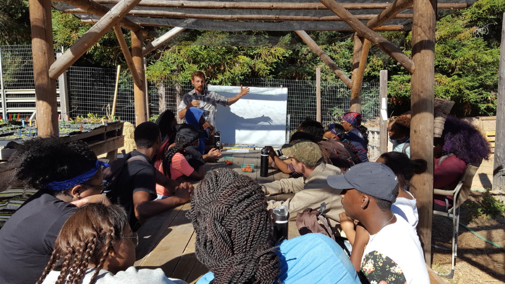 pathways-in-education-experiential-learning-blackbird-farm-memphis-moms-blog-1