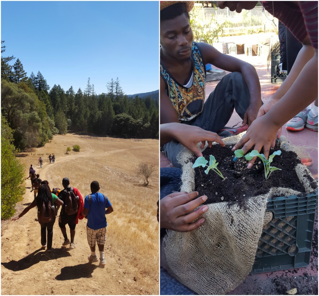pathways-in-education-experiential-learning-blackbird-farm-memphis-moms-blog-5