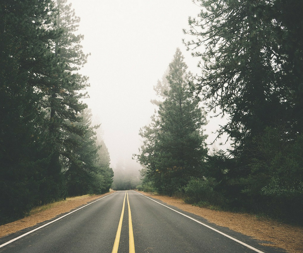 10 Must-Haves for Road Trips With Kids
