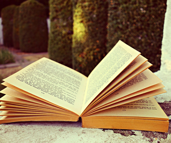I’m Writing A Novel in November and You Should Join Me