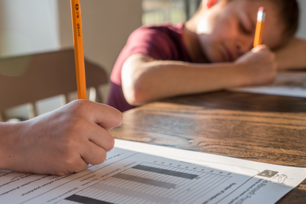 homeschooling
