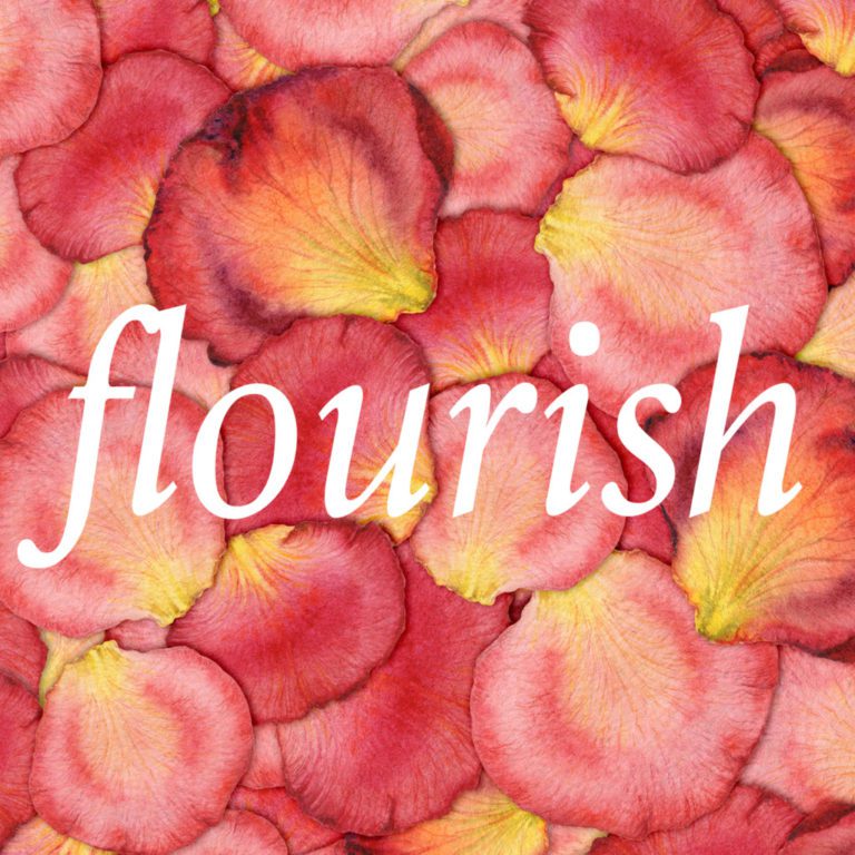 Why I Choose A Word Of The Year