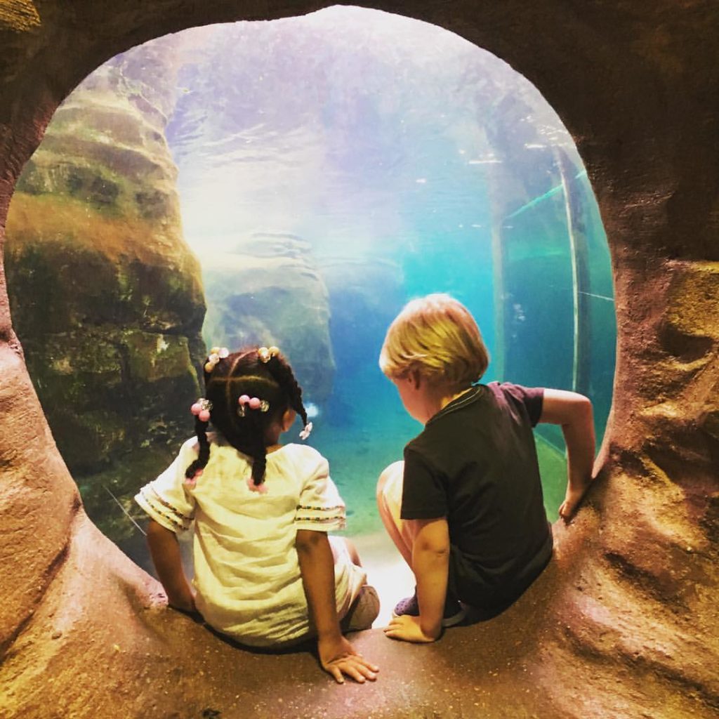 kids at the zoo