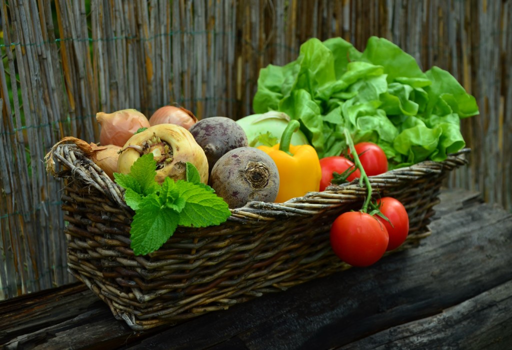 vegetables from a garden