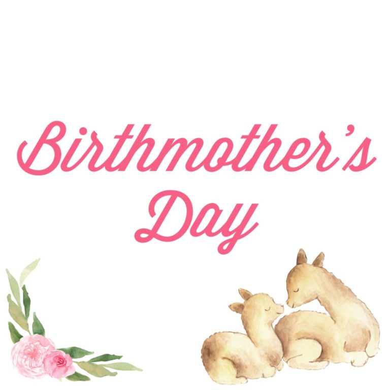 To Our Child’s Birthmother