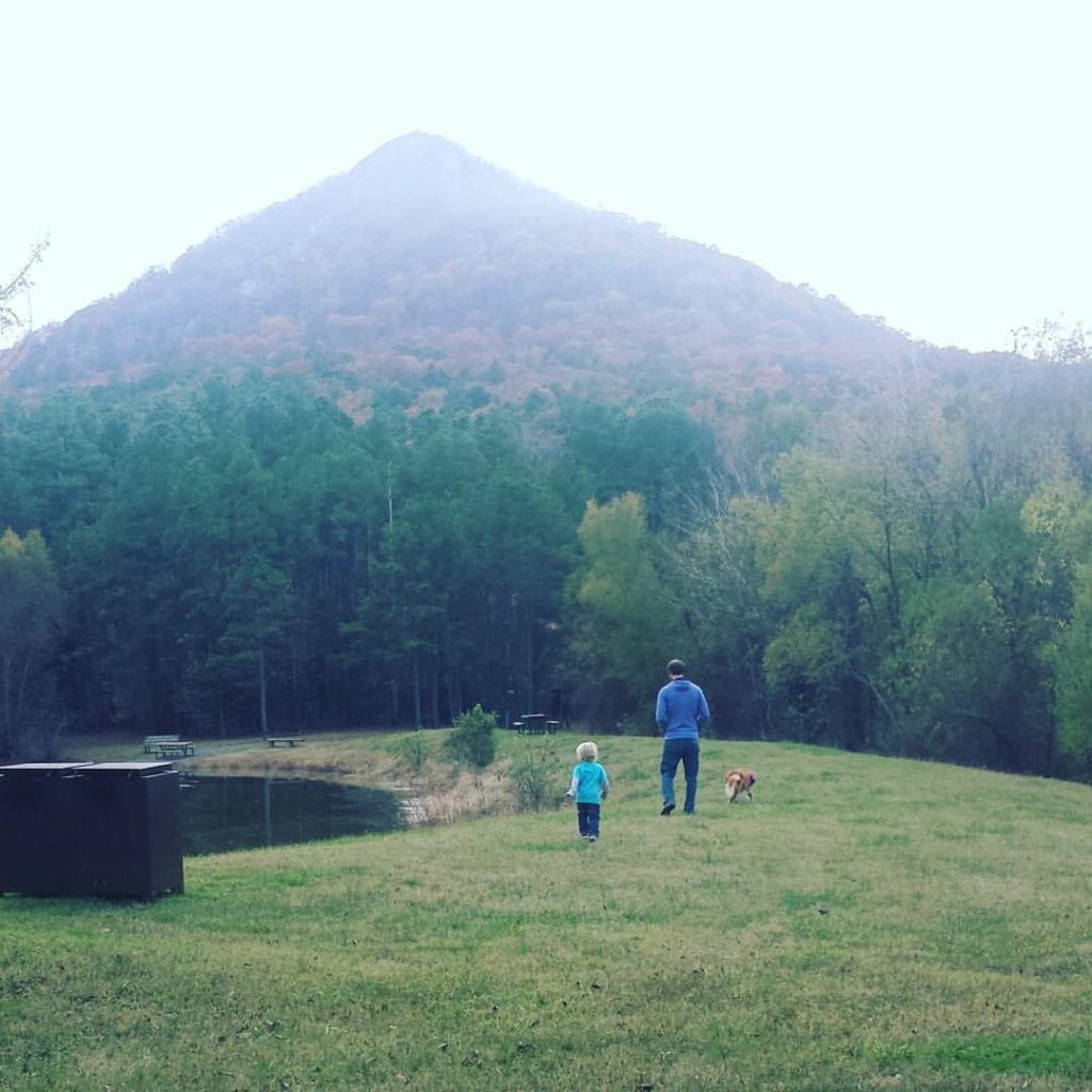 Pinnacle Mountain in Little Rock