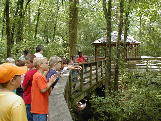 Cypress Grove Animal Reserve in Jackson