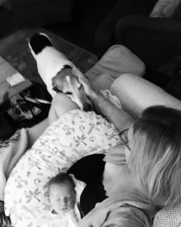 Memphis Moms Blog Fur Mom to my dog