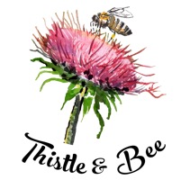 Memphis Moms Blog thistle and bee nonprofit