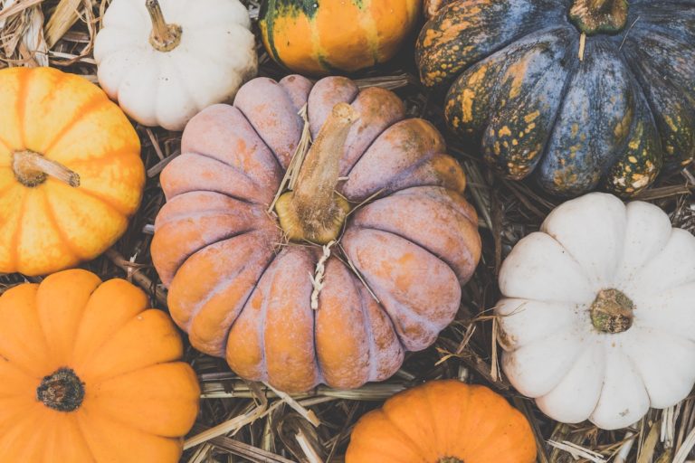 Memphis moms blog pumpkin recipes