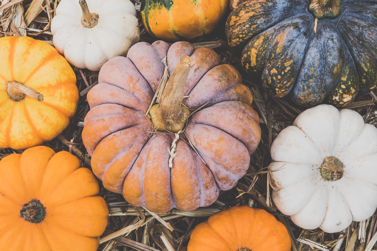 Memphis moms blog pumpkin recipes