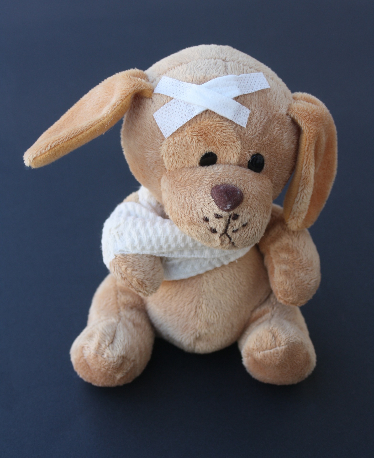 Memphis Moms Blog teddy