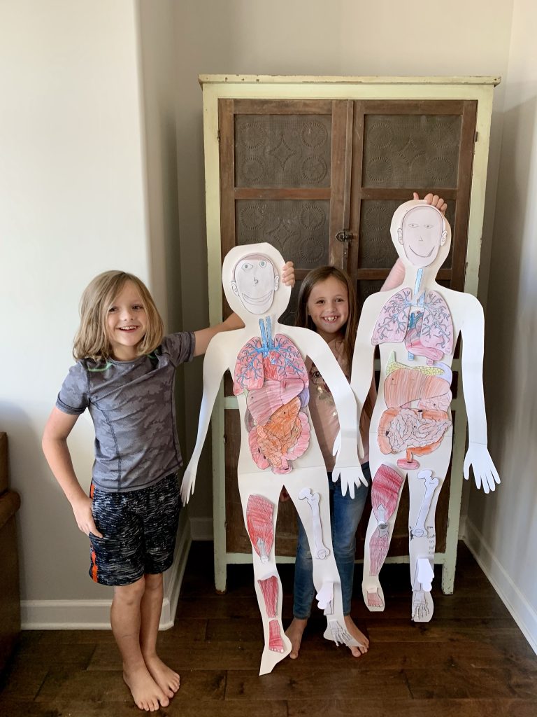 Top 8 Reasons Not To Homeschool