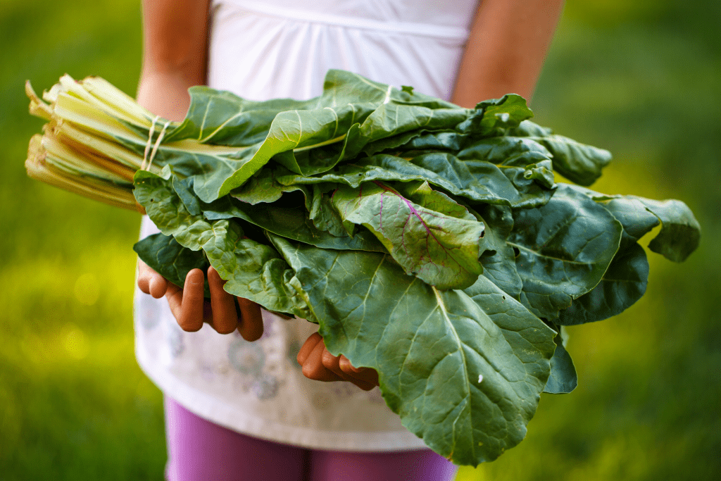 CSAs girl holding produce