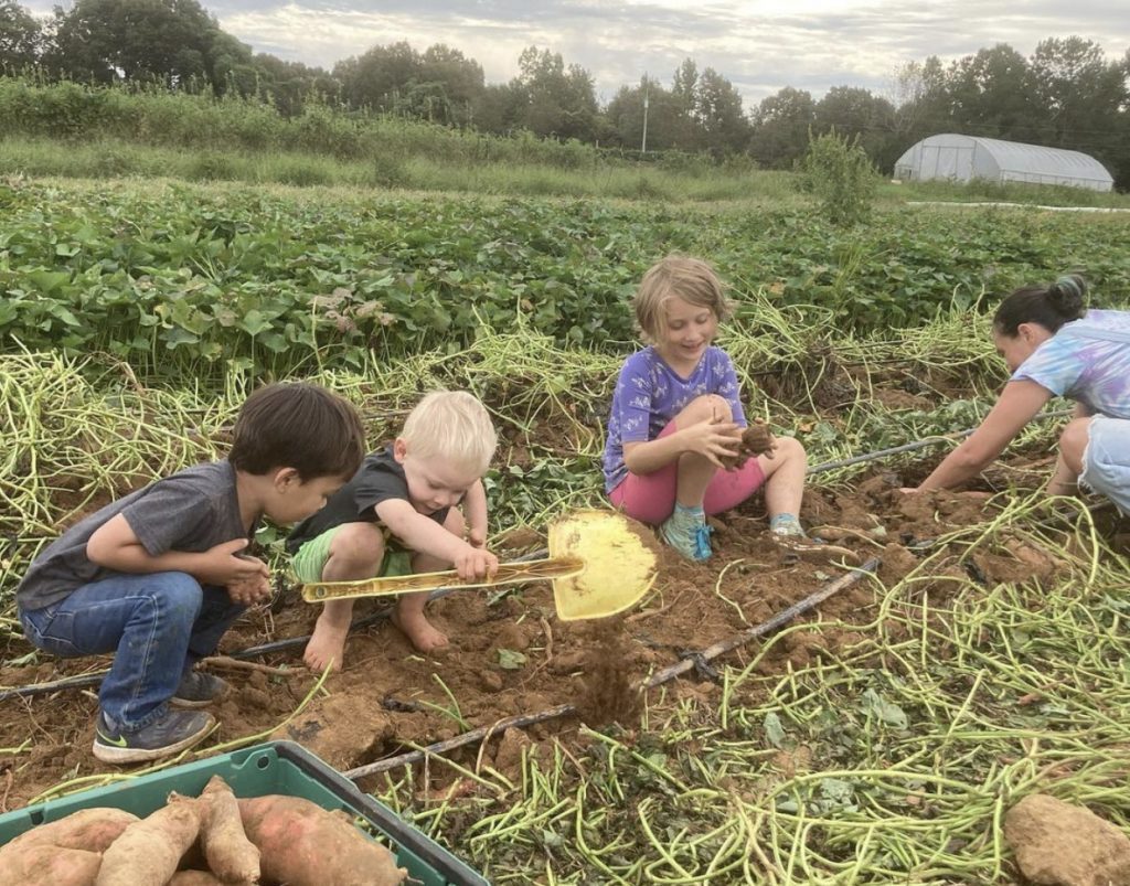 tubby creek farm