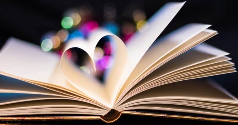 novel