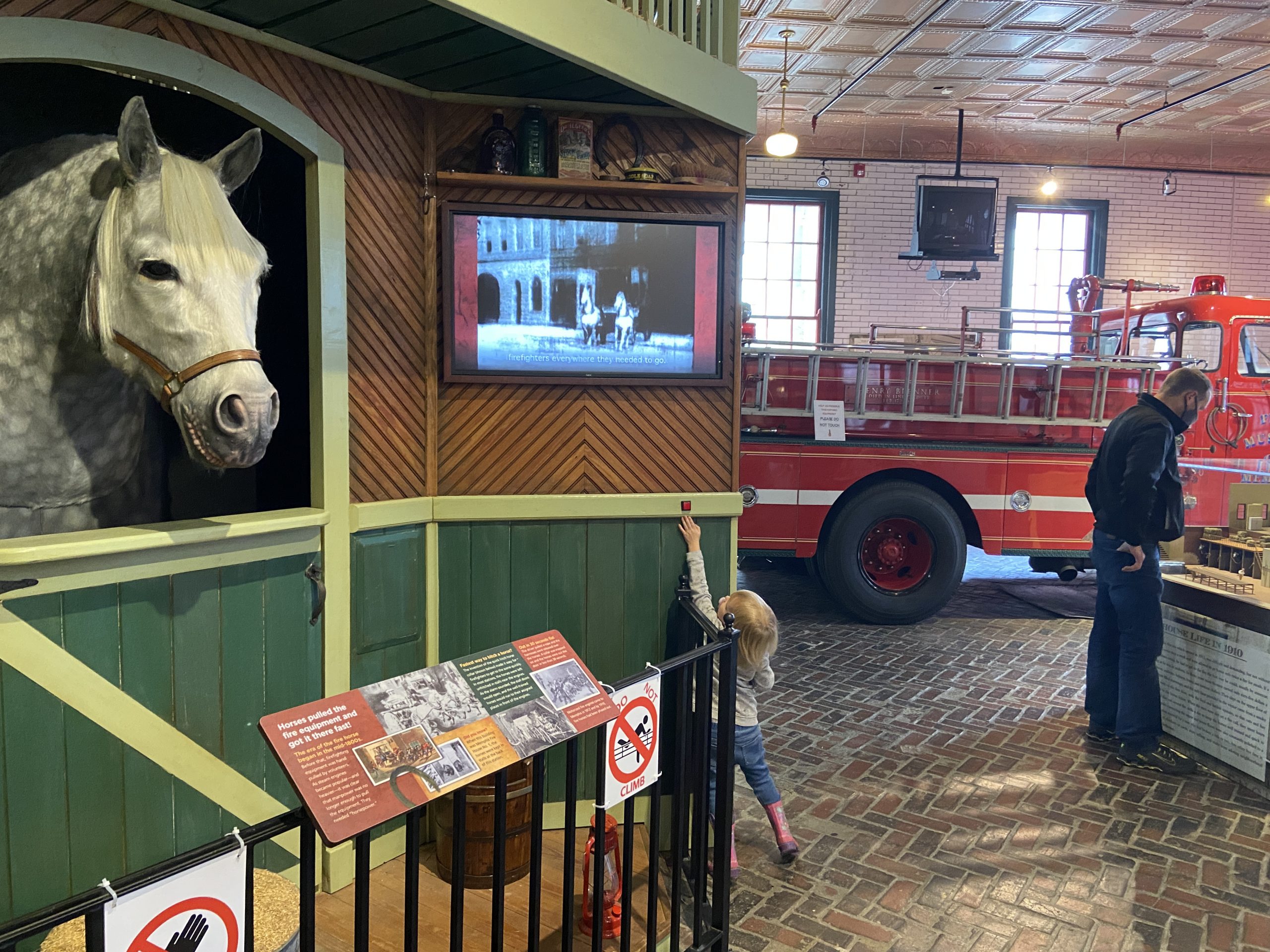 Talking horse in the fire museum 