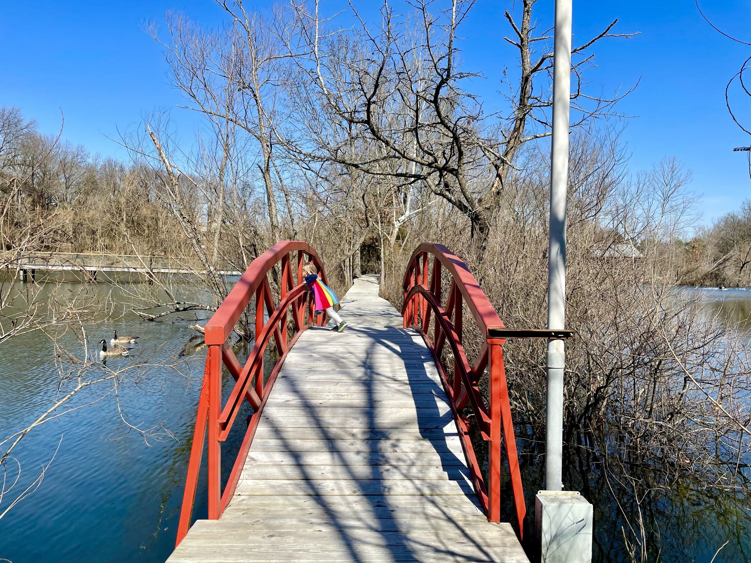 Looking out over a bridge at the Lichterman Nature Center 