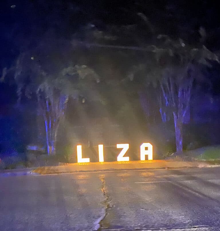 Liza's run last year