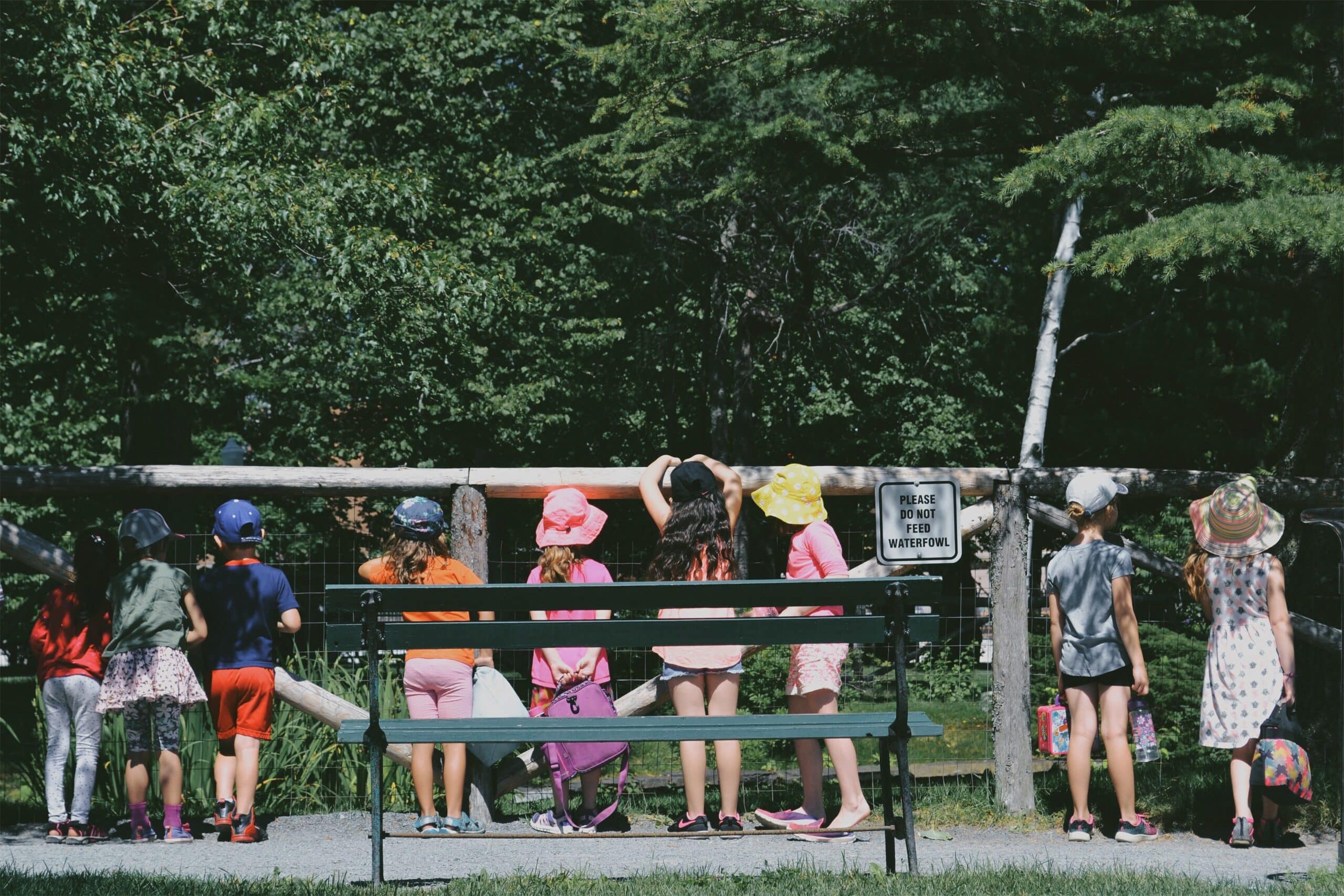 kids on a field trip