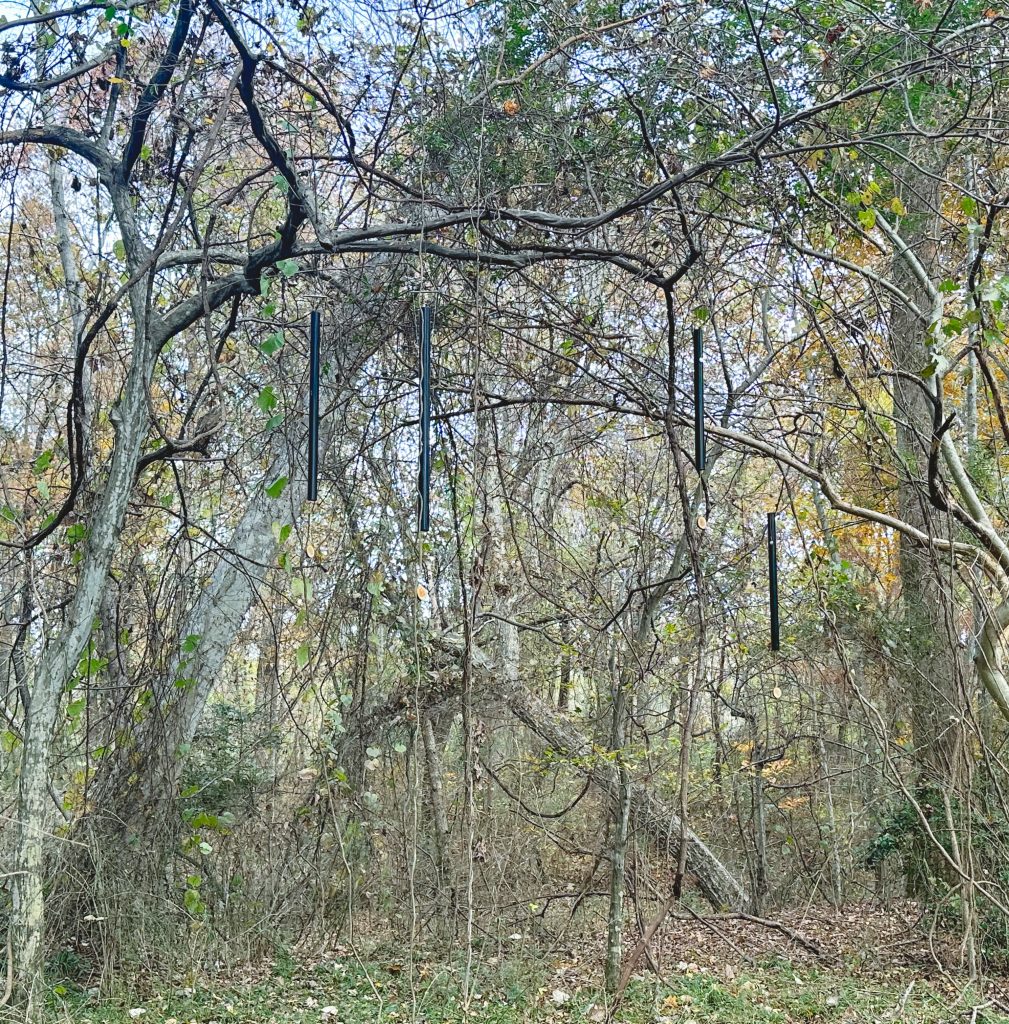 a group of tonal chimes hanging from trees
