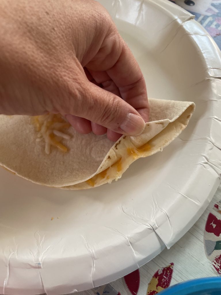 quesadilla cooked in the solar oven