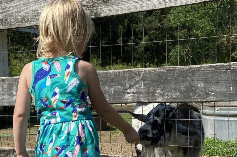 GO! SEE! EXPLORE! :: Bobby Lanier Farm Park