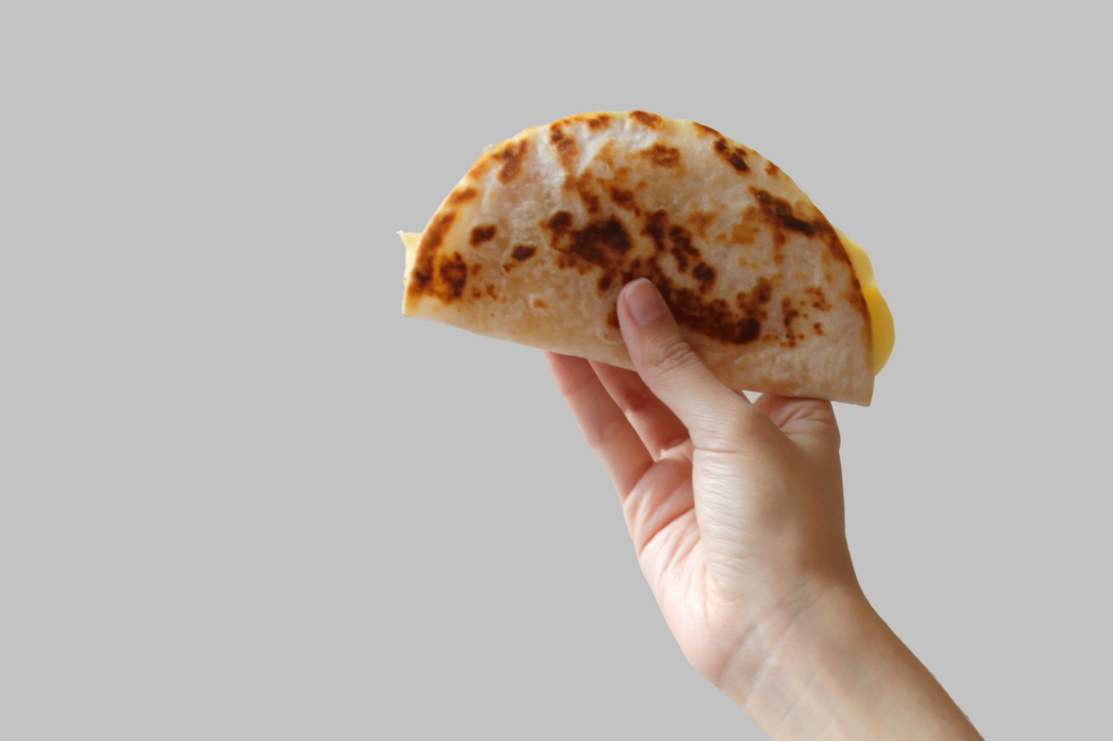 quesadilla cooked in a solar oven