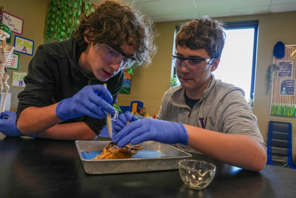 MS students dissecting a rat