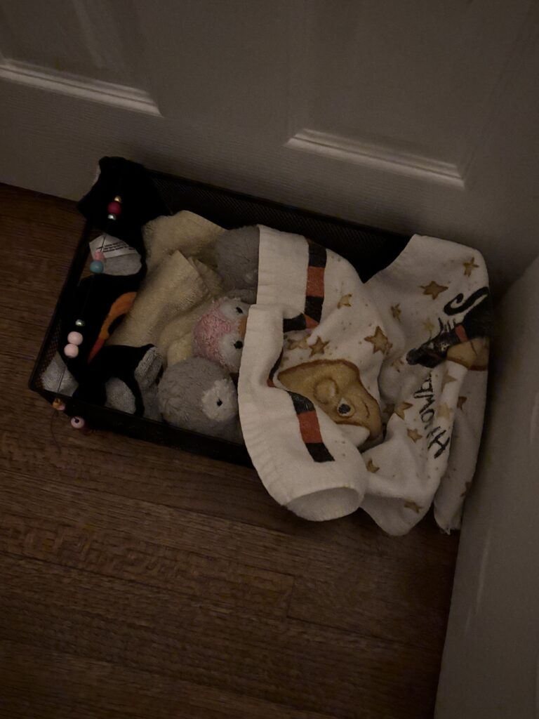 preparing for a sibling by practicing with her babies
