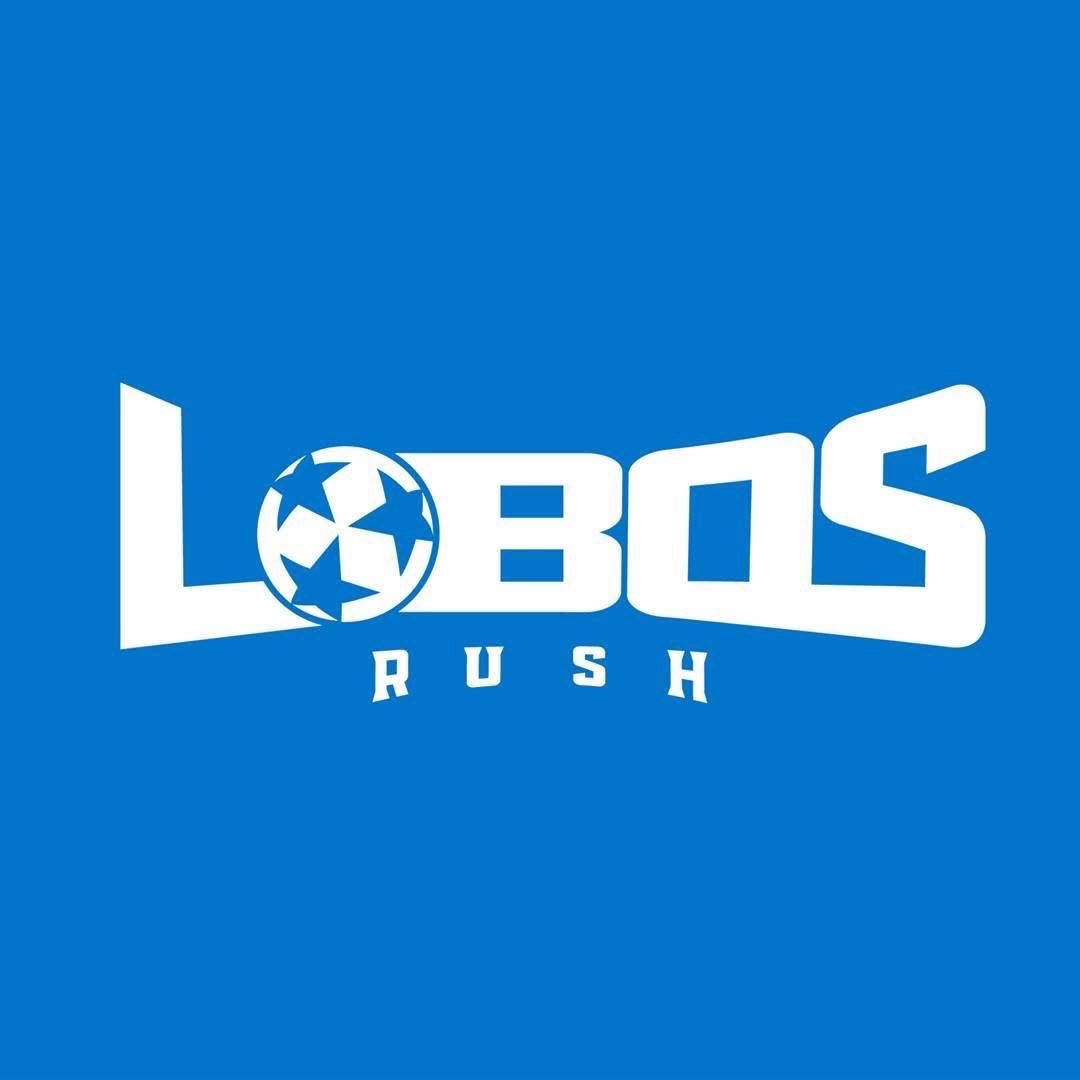 Lobos soccer summer camp logo